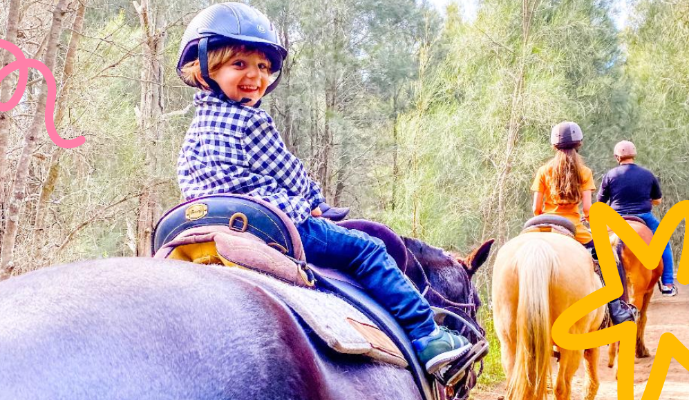 BLOG Image - Hunter Valley Horses