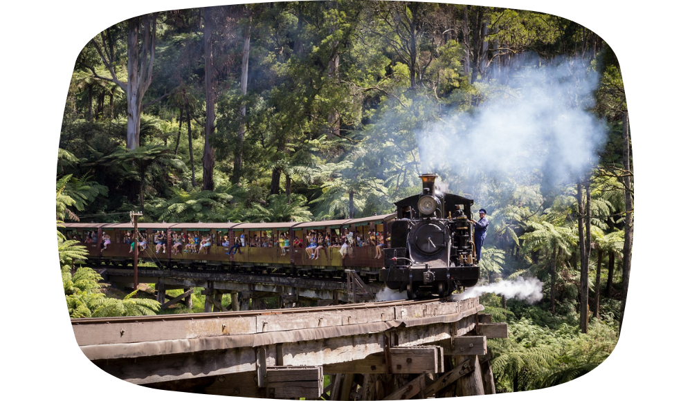 Blog - Puffing Billy