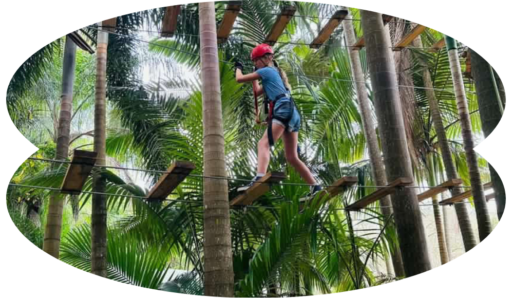 Blog Image Tween High Ropes