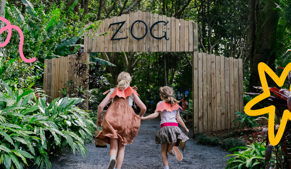 Zog Forest Adventure